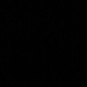 Meet your Posher, Dwayne